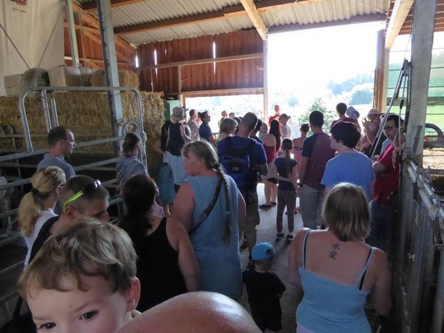 Freunde unterstützen den Klosterhof Freunde unterstützen den Klosterhof